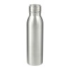 Silver Loop Stainless Steel Bottles